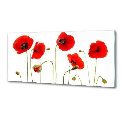 Panel de pared de cocina Amapolas