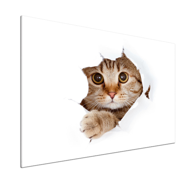 Salpicadero de cocina Gato