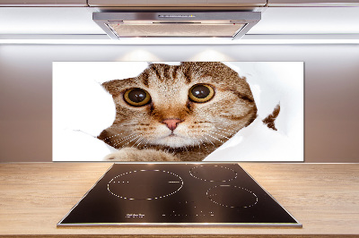 Salpicadero de cocina Gato