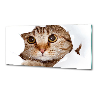 Salpicadero de cocina Gato