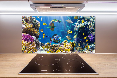 Panel antisalpicaduras Arrecife de coral