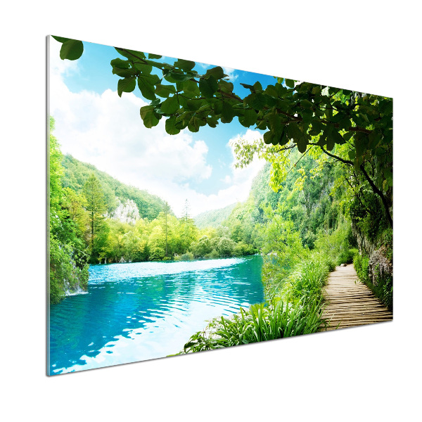 Panel de pared de cocina Cascada en el bosque