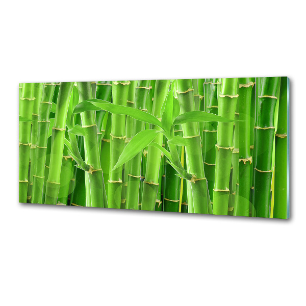 Salpicadero de cocina Bambúes