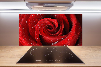 Panel para cocina Gotas sobre una rosa