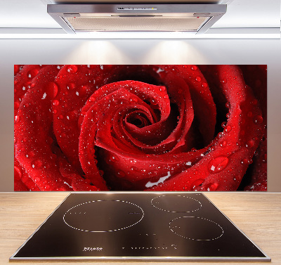 Panel para cocina Gotas sobre una rosa