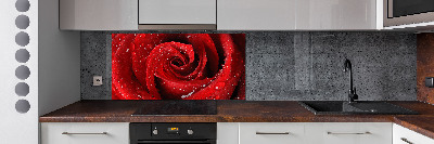 Panel para cocina Gotas sobre una rosa