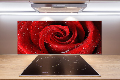 Panel para cocina Gotas sobre una rosa