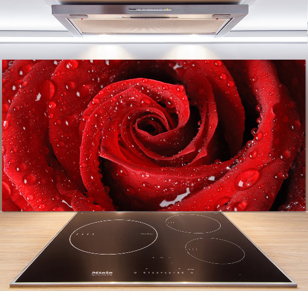 Panel para cocina Gotas sobre una rosa