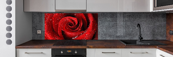 Panel para cocina Gotas sobre una rosa