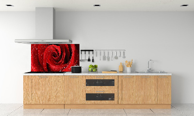 Panel para cocina Gotas sobre una rosa