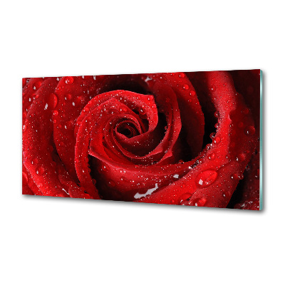 Panel para cocina Gotas sobre una rosa