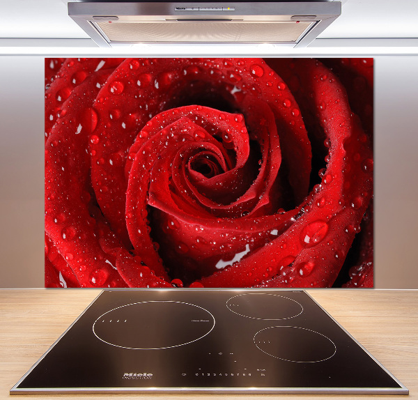 Panel para cocina Gotas sobre una rosa