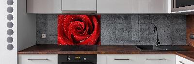Panel para cocina Gotas sobre una rosa
