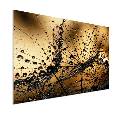 Panel do kuchni Nasiona dmuchawca