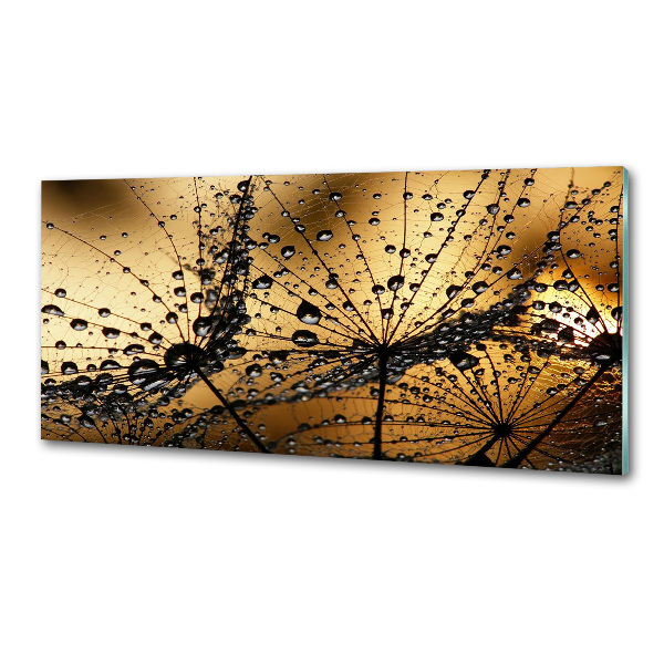 Salpicadero para cocina semillas de diente de león