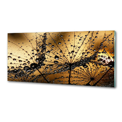 Panel do kuchni Nasiona dmuchawca