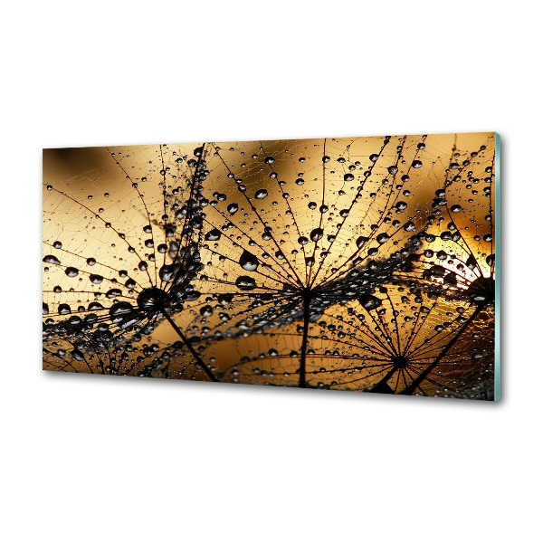 Panel do kuchni Nasiona dmuchawca