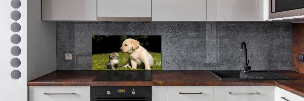 Panel para cocina Perro y gato en el prado