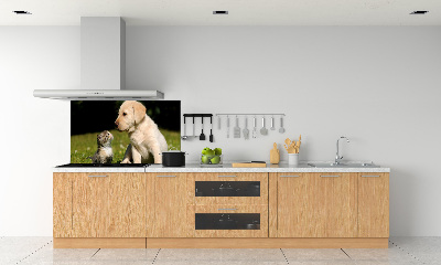 Panel para cocina Perro y gato en el prado