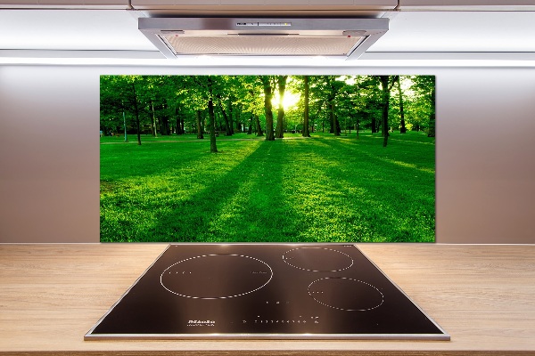 Panel para cocina Césped en el parque