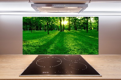 Panel para cocina Césped en el parque