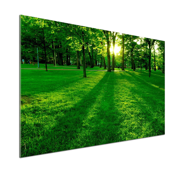 Panel para cocina Césped en el parque