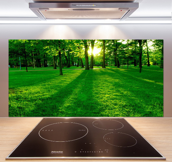 Panel para cocina Césped en el parque