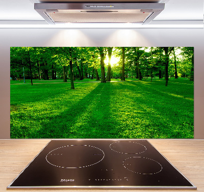 Panel para cocina Césped en el parque