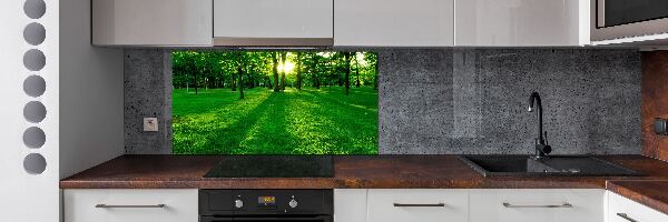 Panel para cocina Césped en el parque