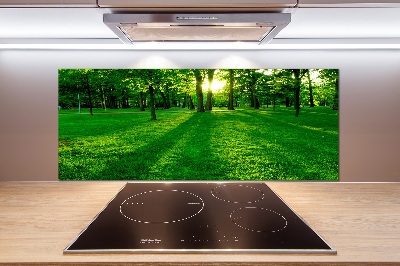 Panel para cocina Césped en el parque