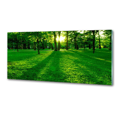 Panel para cocina Césped en el parque