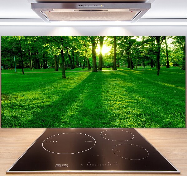 Panel para cocina Césped en el parque