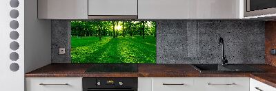 Panel para cocina Césped en el parque