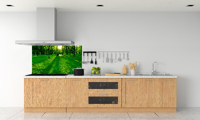 Panel para cocina Césped en el parque