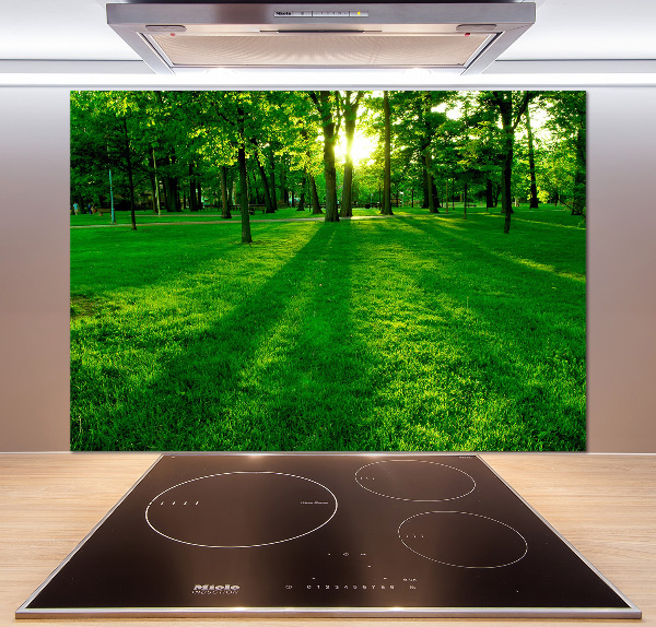 Panel para cocina Césped en el parque