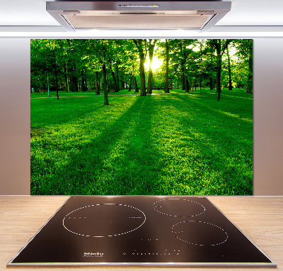 Panel para cocina Césped en el parque