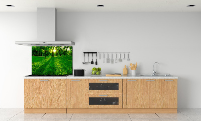 Panel para cocina Césped en el parque