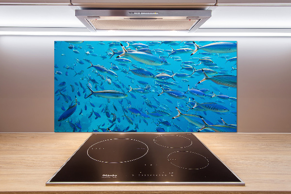 Salpicadero para cocina Peces coralinos