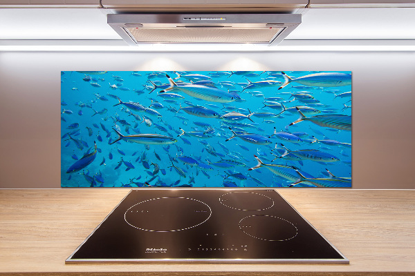 Salpicadero para cocina Peces coralinos