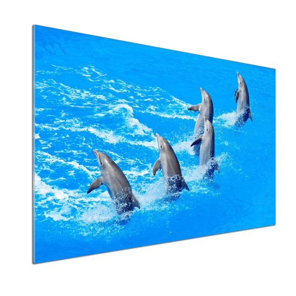 Panel de pared de cocina Delfines