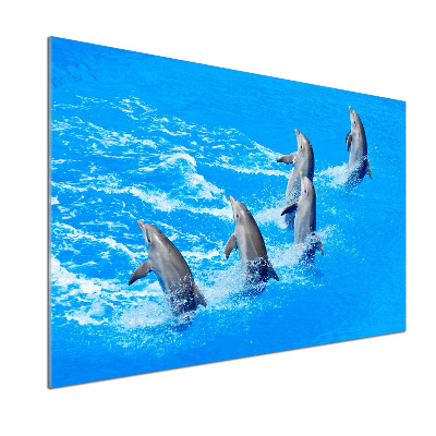 Panel de pared de cocina Delfines
