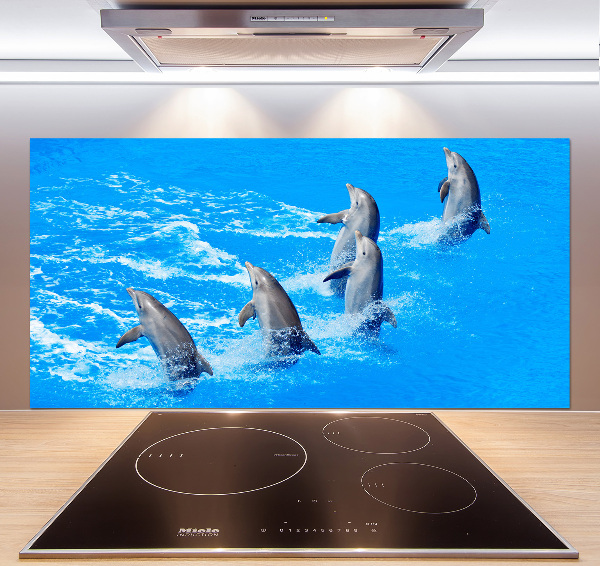 Panel de pared de cocina Delfines