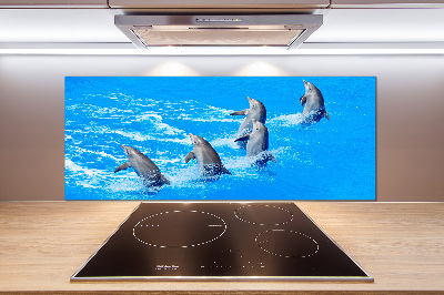Panel de pared de cocina Delfines