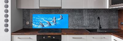 Panel de pared de cocina Delfines
