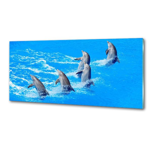 Panel de pared de cocina Delfines