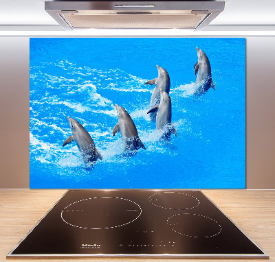 Panel de pared de cocina Delfines