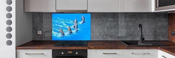 Panel de pared de cocina Delfines