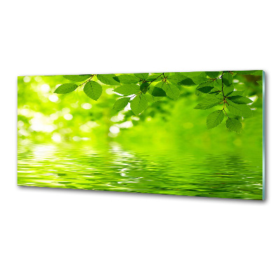 Panel de pared de cocina hojas verdes