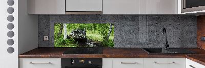 Panel antisalpicaduras Jeep en el bosque