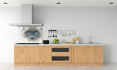 Salpicadero de cocina Gato de ojos azules